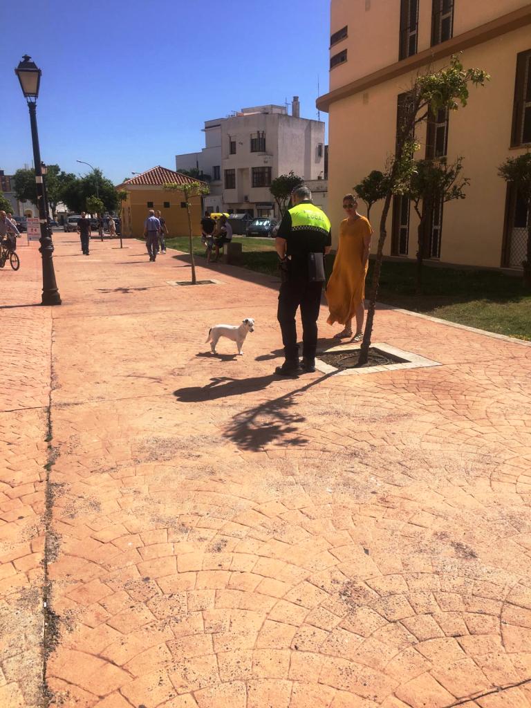 CONTROL CANINO