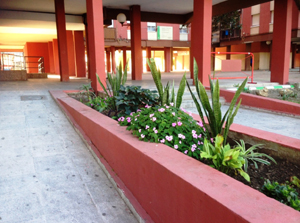 Bellavista