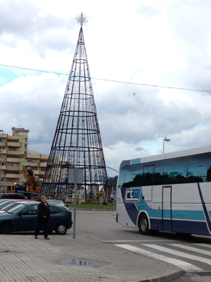 arbol pl constitucion