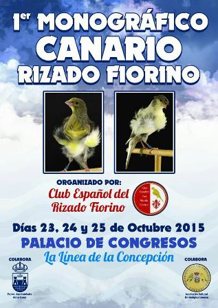 Canario