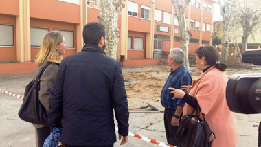 Poda colegio Andalucia