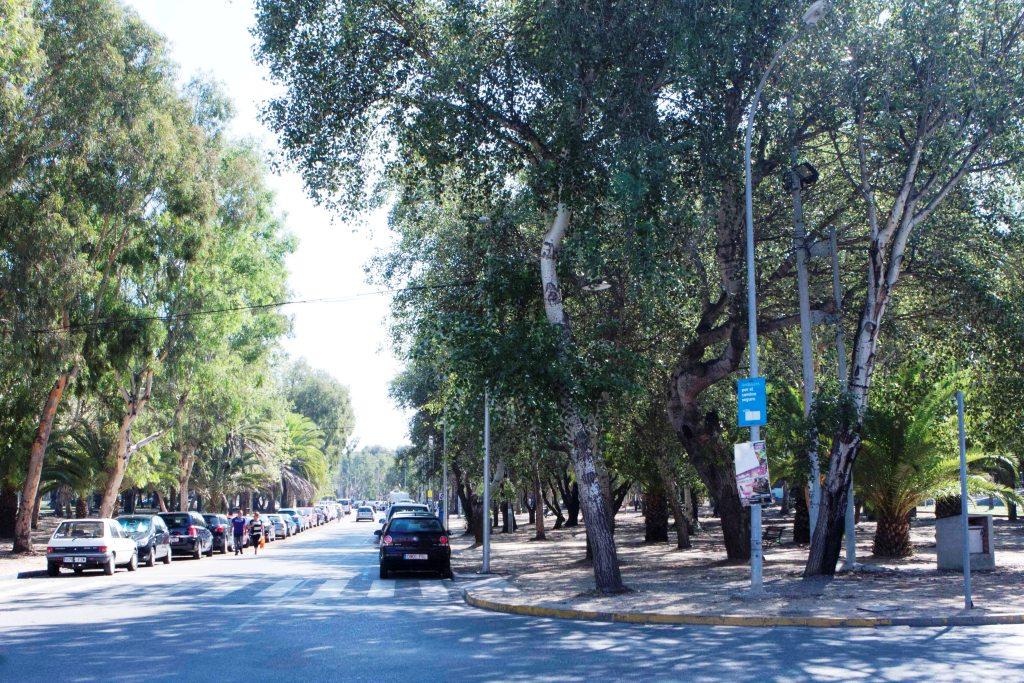 parque
