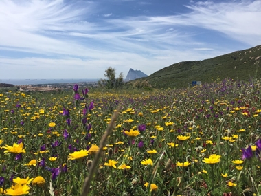 En Busca del pe&ntilde;on. Diego Naranjo Moreno. Monte Calpe