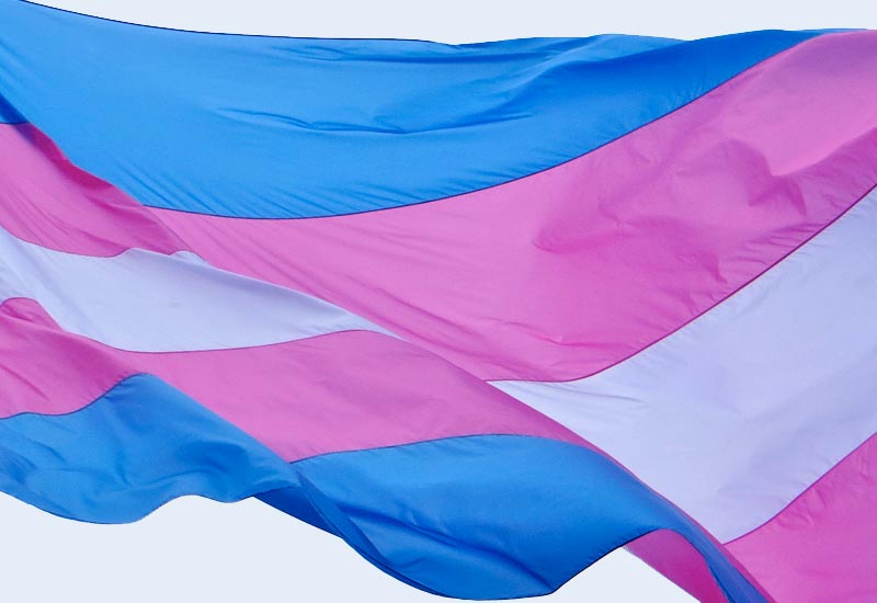 bandera trans