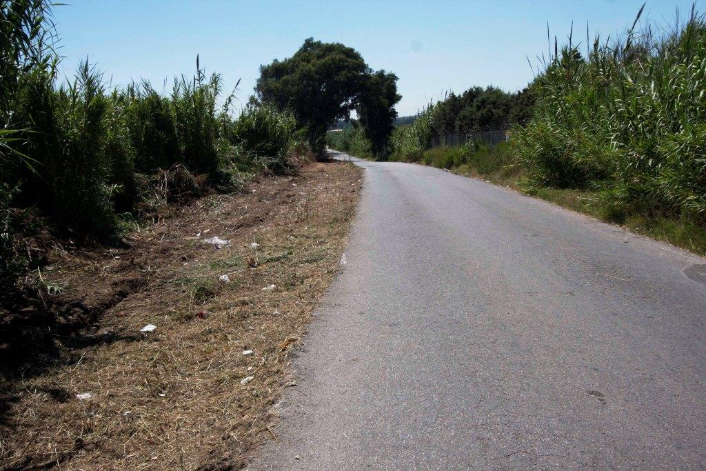 CAMINO ESTEPONA