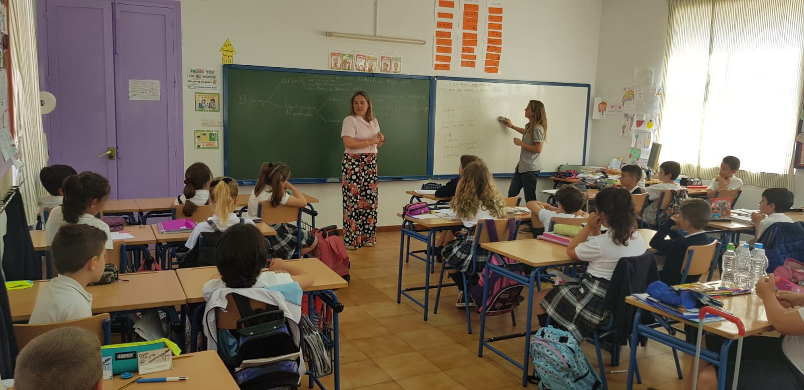 Oferta educativa mascotas
