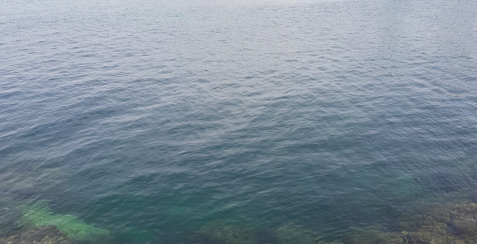 mar