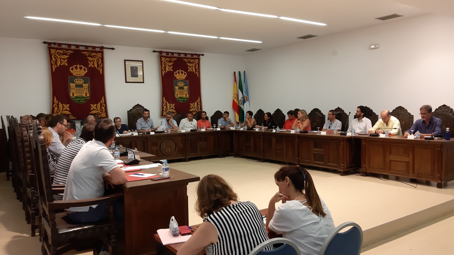 pleno ordinario julio