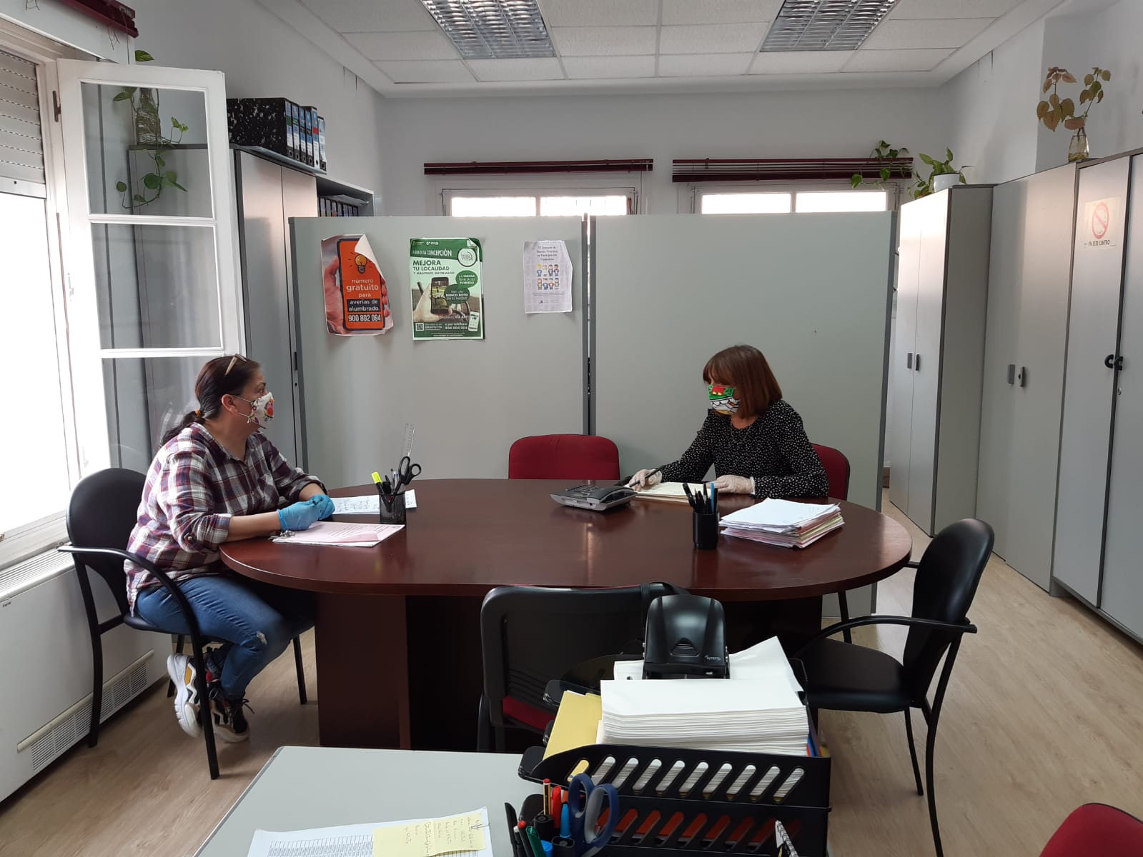 OMIC reapertura