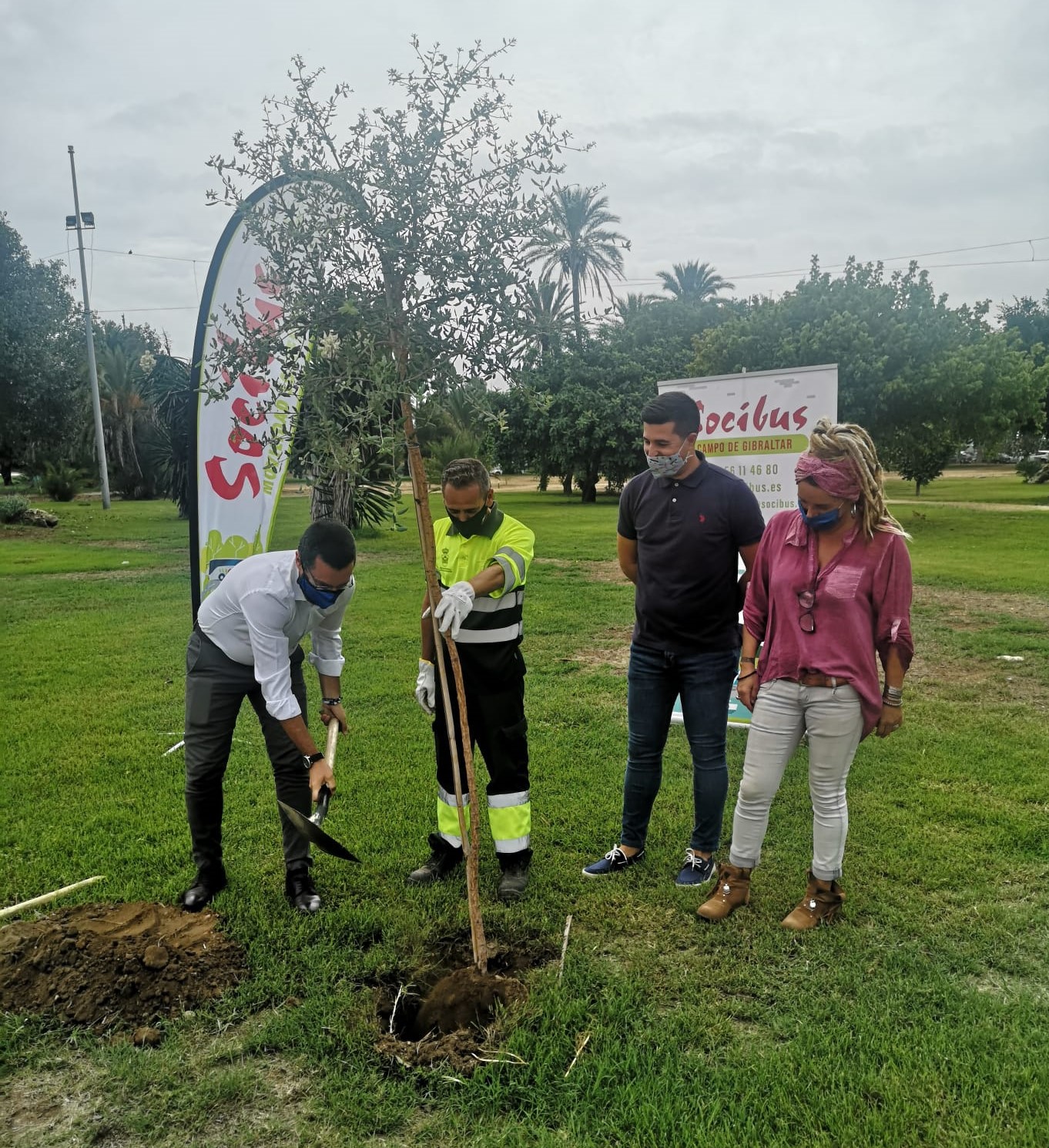 Plantacion alcornoques alcalde Socibus
