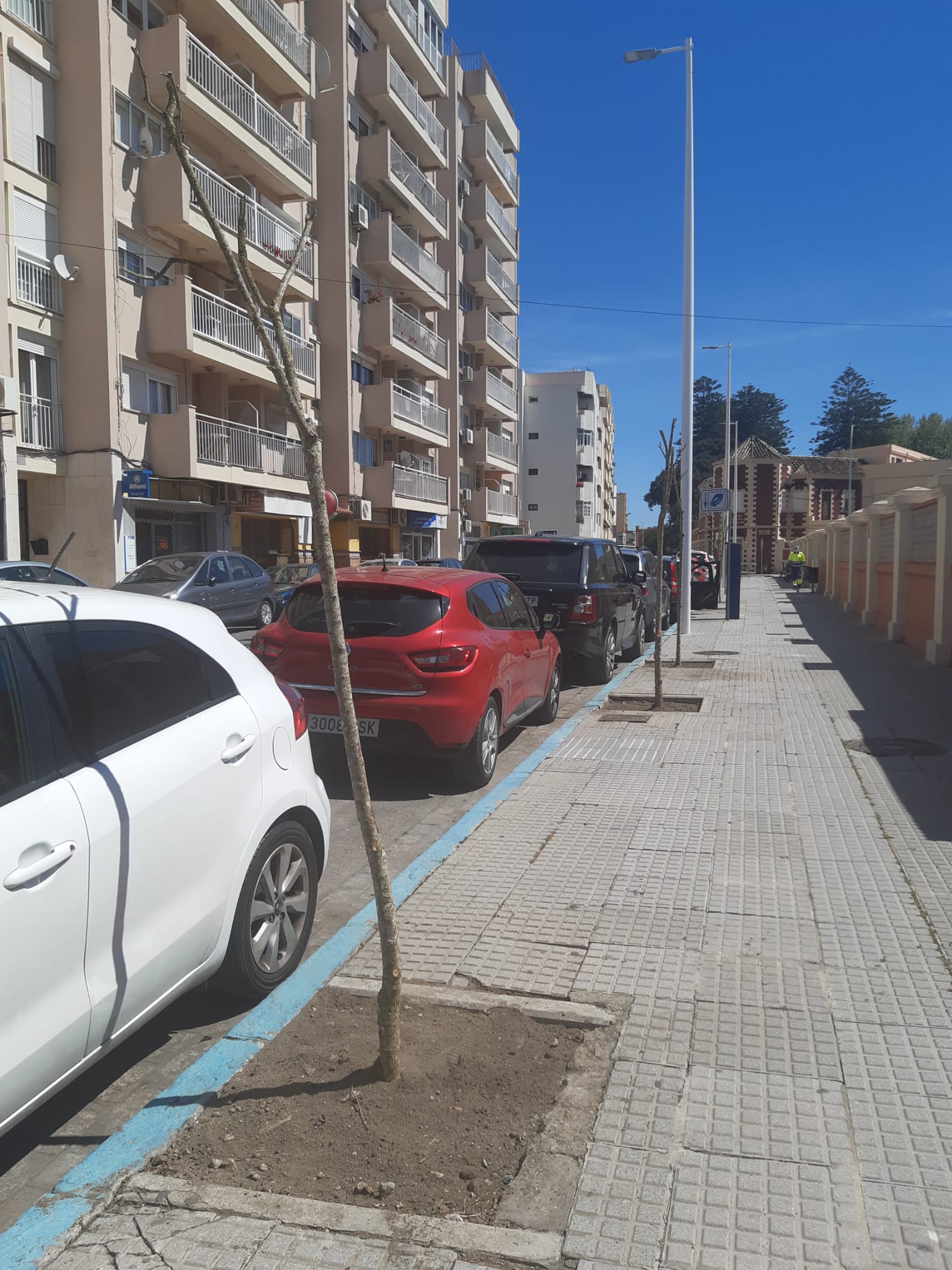 PLAN DE ARBOLADO