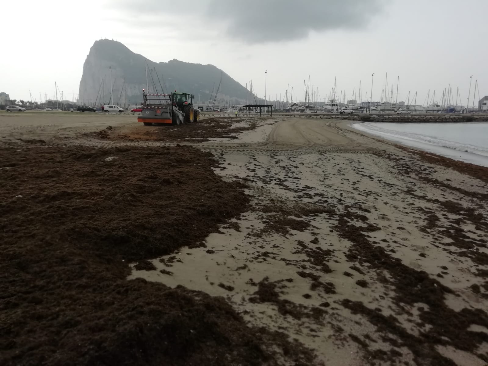 RETIRADA DE ALGAS PLAYA DE PONIENTE
