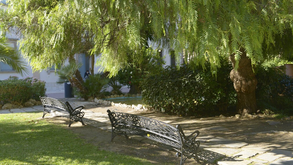 Fotos jardines Saccone Linea 1510659491 126860426 1011x569